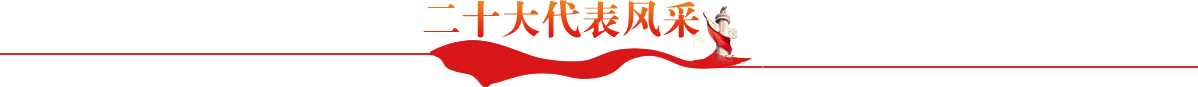二十大代表風采